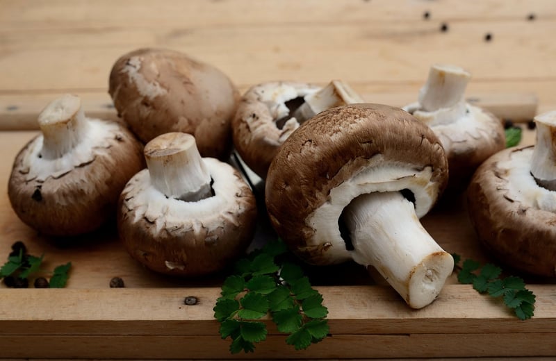 Vegetarian Fare