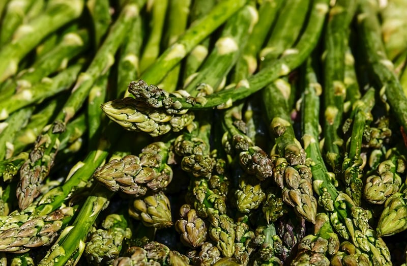 Food Photography